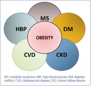 Dangers Of Obesity